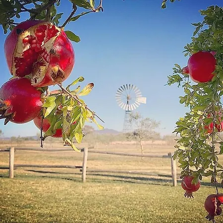Farma Vento Di Maremma *