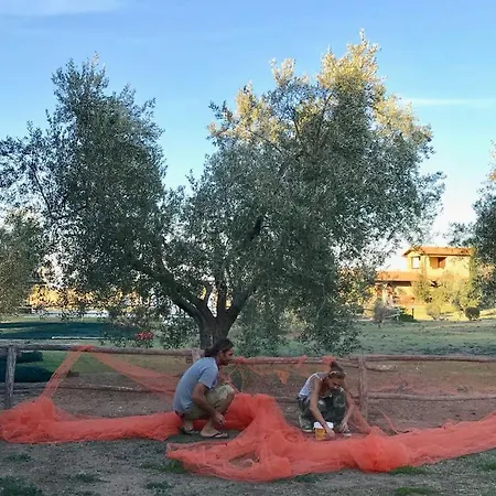 Vento Di Maremma Farma Grosseto