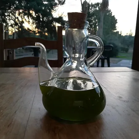 Vento Di Maremma Farma *